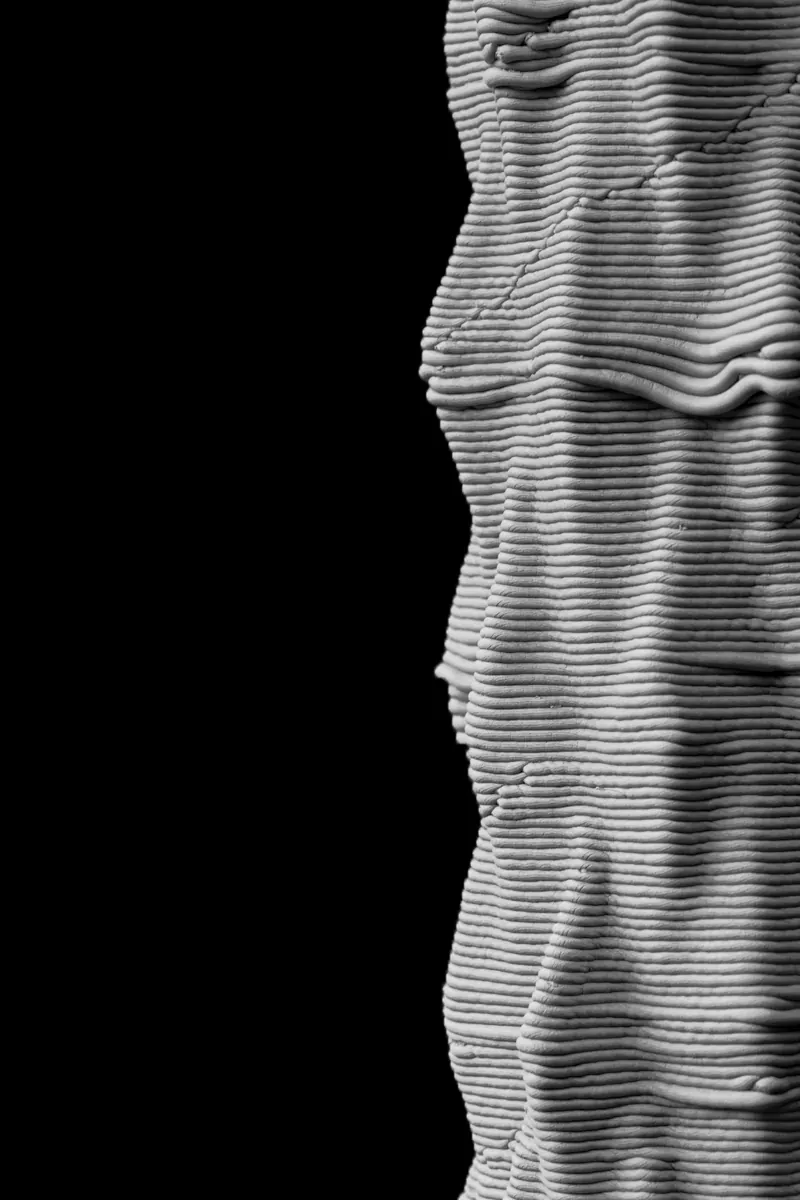 Layer lines, the trace of the machine