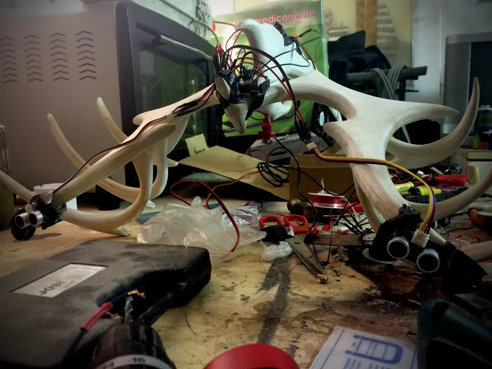 Wiring the body