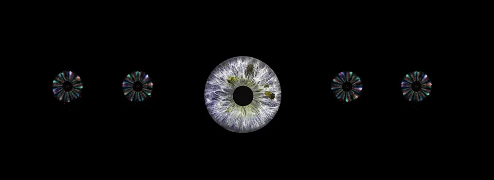 Revealed: the eye at the centre, its fragments around it